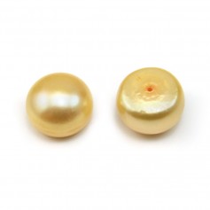 Perles de culture d'eau douce, semi-percée, jaune, bouton, 12mm x 2pcs