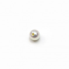 Perle de culture d'eau douce, semi-percée, blanche, ronde, 4-4.5mm x 2pcs