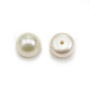 Freshwater white pearls, in round flat shape, half drilled, 7 - 7.5mm x 4pcs