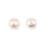 Perles de culture d'eau douce, semi-percé, blanche, bouton, 4.5-5mm x 4pcs