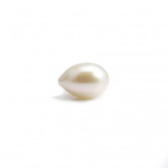Perle de culture d'eau douce, semi-percée, blanche, olive 10-11mm x 1pc