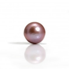 Freshwater cultured pearl, purple, in round shape, 12-13mm x 1pc