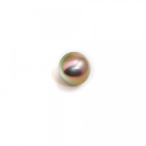 Freshwater cultured pearl half drilled purple, in oval shape, in size of 7-7.5mm x 2pcs