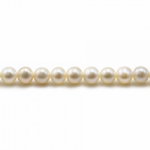 Perlas cultivadas de agua dulce, blancas, redondas, 5mm x 40cm