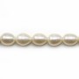 Perles d'eau douce blanches oval 7x9-8x10mm x 40cm
