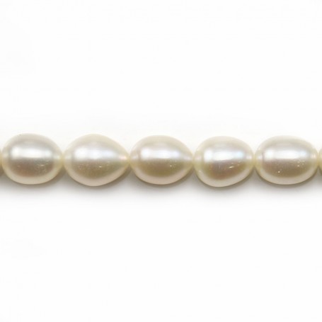 White oval freshwater pearls 7x9-8x10mm x 40cm