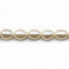 Perles de culture d'eau douce, blanche, olive, 8-9mm x 39cm