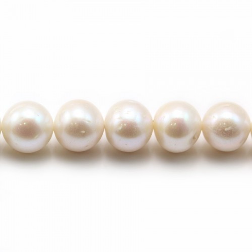 white round freshwater pearl 12-14mm AAA x 40cm