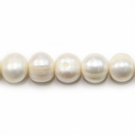 White freshwater pearl oval x 37cm