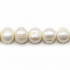 Perles de culture d'eau douce, blanche, ovale/irrégulière, 11-13mm x 37cm
