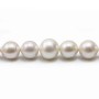 Freshwater pearl, in white color, in round shape, and in size of 13-15mm x 40cm