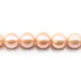 Perles de culture d'eau douce, saumon, ronde, 12-14mm AA x 40cm