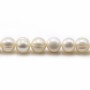 Perles de culture d'eau douce, blanche, ronde/irrégulière, 7-8mm x 35cm