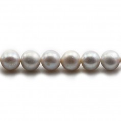 Perles de culture d'eau douce, gris, semi-ronde, 9-10mm x 39cm