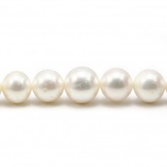 Freshwater cultured pearl, in white color, in round shape 13-15mm x 40cm