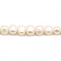 Perle coltivate d'acqua dolce, bianche, ovali/irregolari, 6-6,5 mm x 37 cm
