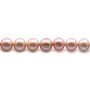 Perles de culture d'eau douce, mauve, ronde, 8-8.5mm x40cm
