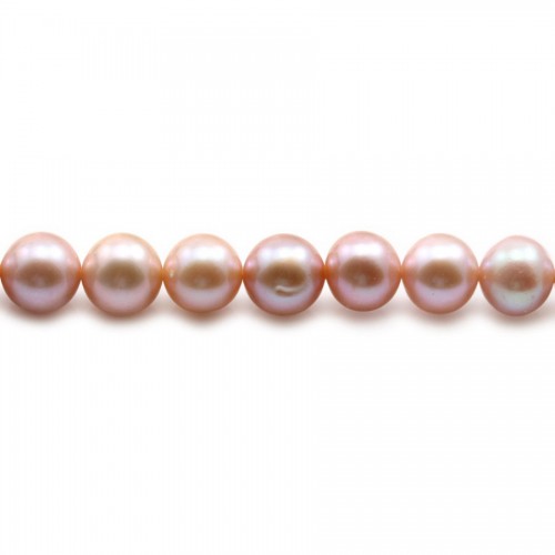 Perle coltivate d'acqua dolce, viola, rotonde, 8-8,5 mm x 40 cm