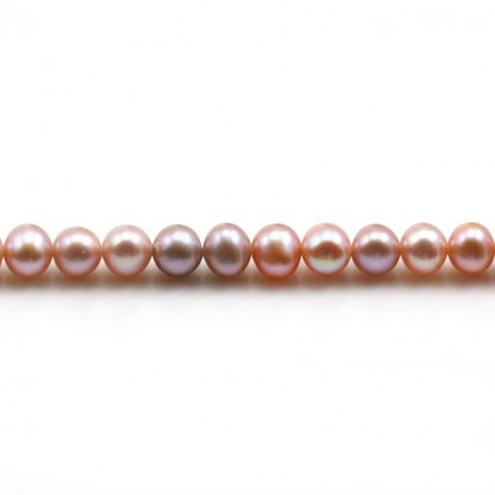 Perles de culture d'eau douce, mauve, semi-ronde 5-5.5mm x 40cm