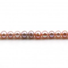 Perle coltivate d'acqua dolce, malva, semitonde, 5-5,5 mm x 40 cm