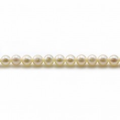 Perles de culture d'eau douce, blanche, ronde, 4mm x40cm