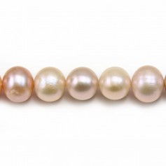 Perles de culture d'eau douce, multicolore, ronde, 9.5-10.5mm x 40cm A
