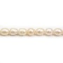 Salmon color oval freshwater cultured pearls 10x12mm x 2pcs