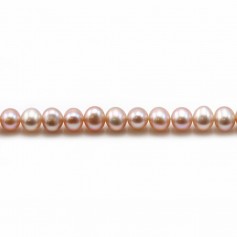 Perles de culture d'eau douce, mauve, semi-ronde, 4mm x 40cm
