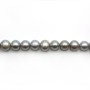 Perles de culture d'eau douce, gris, semi-ronde 7-9mm x 39cm