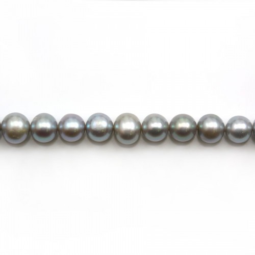 Perles de culture d'eau douce, gris, semi-ronde, 7-9mm x 39cm