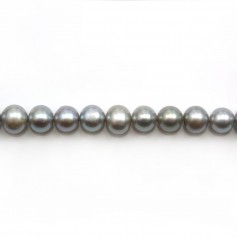 Freshwater cultured pearls, grey, half-round, 7-9mm x 39cm