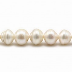 Perles de culture d'eau douce, blanche, baroque cerclée, 11-13mm x 40cm