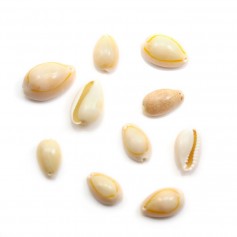 Natural cowrie pearls, with a drilling hole x 10pcs