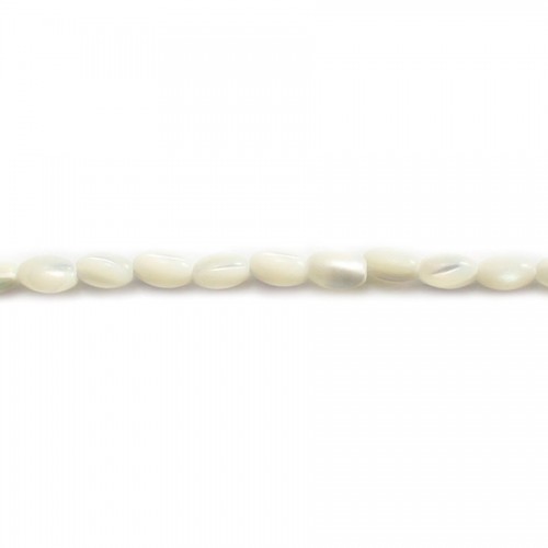 Nácar oval blanco 3x5mm x 40cm