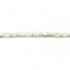 Madreperla ovale bianca 3x5mm x 40cm