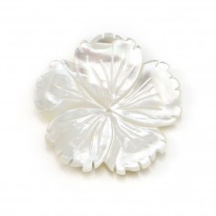 White mother-of-pearl flower shape with 5 petals, 30mm x 1pc