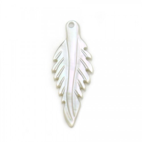 White mother-of-pearl, in shape of leaf, 8 * 20mm x 1pc
