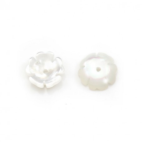 White mother-of-pearl flower cup 8mm x 2