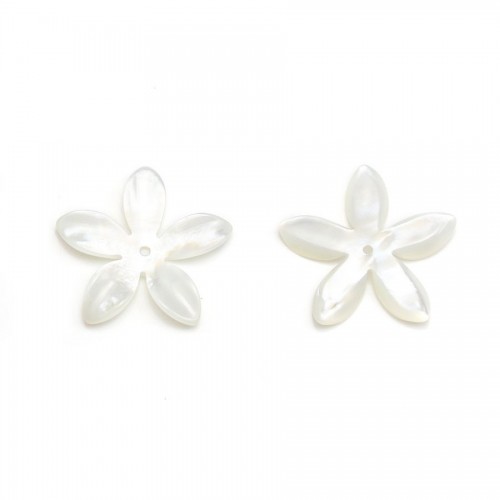 Mother-of-pearl, in white-colored, in the shape of a flower, measuring 18mm x 1 pc