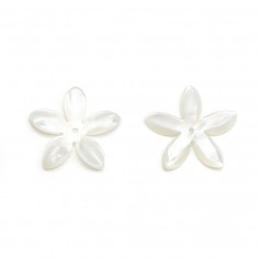 Mother-of-pearl, in white-colored, in the shape of a flower, measuring 18mm x 1pc