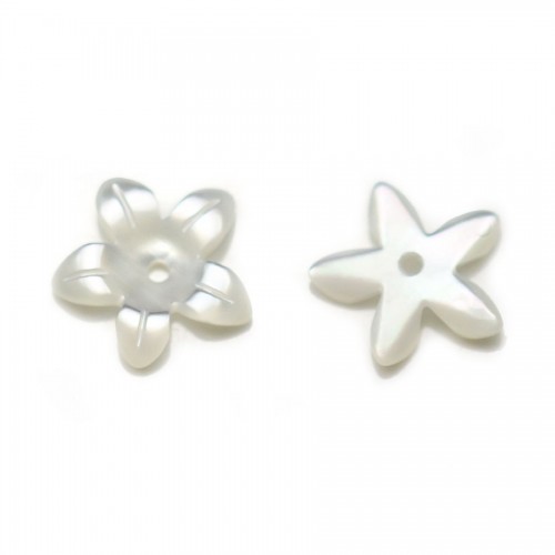 White mother-of-pearl, in shape of flower with 5 petals, 10mm x 2pcs