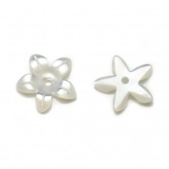 White mother-of-pearl, in shape of flower with 5 petals, 10mm x 2pcs