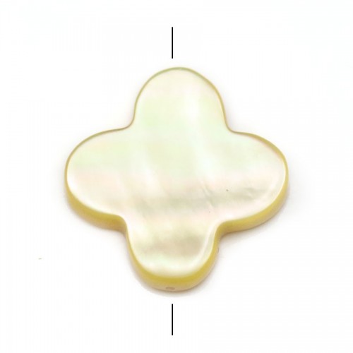 Gold shell clover 18mm (22 pcs)
