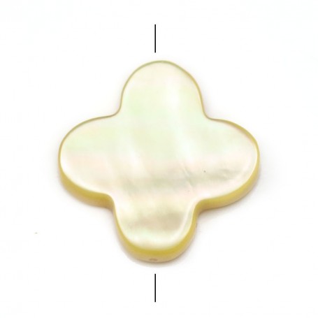 Gold shell clover 18mm (22 pcs)