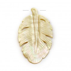 Yellow Mother of Pearl Leaf 68x38mm x 1pc