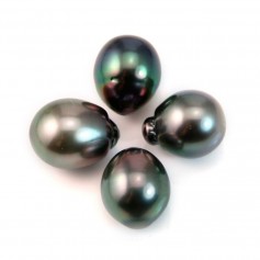 Perle de culture de Tahiti, goutte, 11-12mm x 1pc