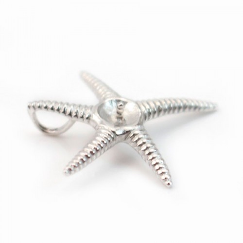 Cierre estrella de mar, plata 925 rodiada, para perla semiperforada, 24mm x 1ud