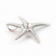 Chiusura a stella marina, argento 925 rodiato, per perla semiperforata, 24 mm x 1 pz