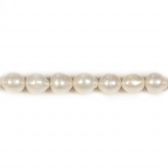 Perles de culture d'eau douce, blanche, baroque, 11mm x 40cm