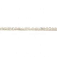 Madreperla, bianca, rotonda sfaccettata, 2 mm x 40 cm